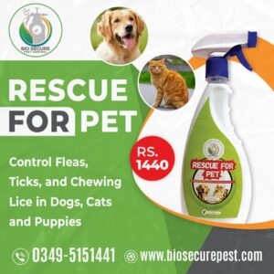 Triple Action Formula: Rescue for Pet Spray employs an advanced formula that targets and eliminates three common pet pests – fleas, ticks, and chewing lice. With Rescue for Pet, your pets receive triple the protection against a range of nuisances.